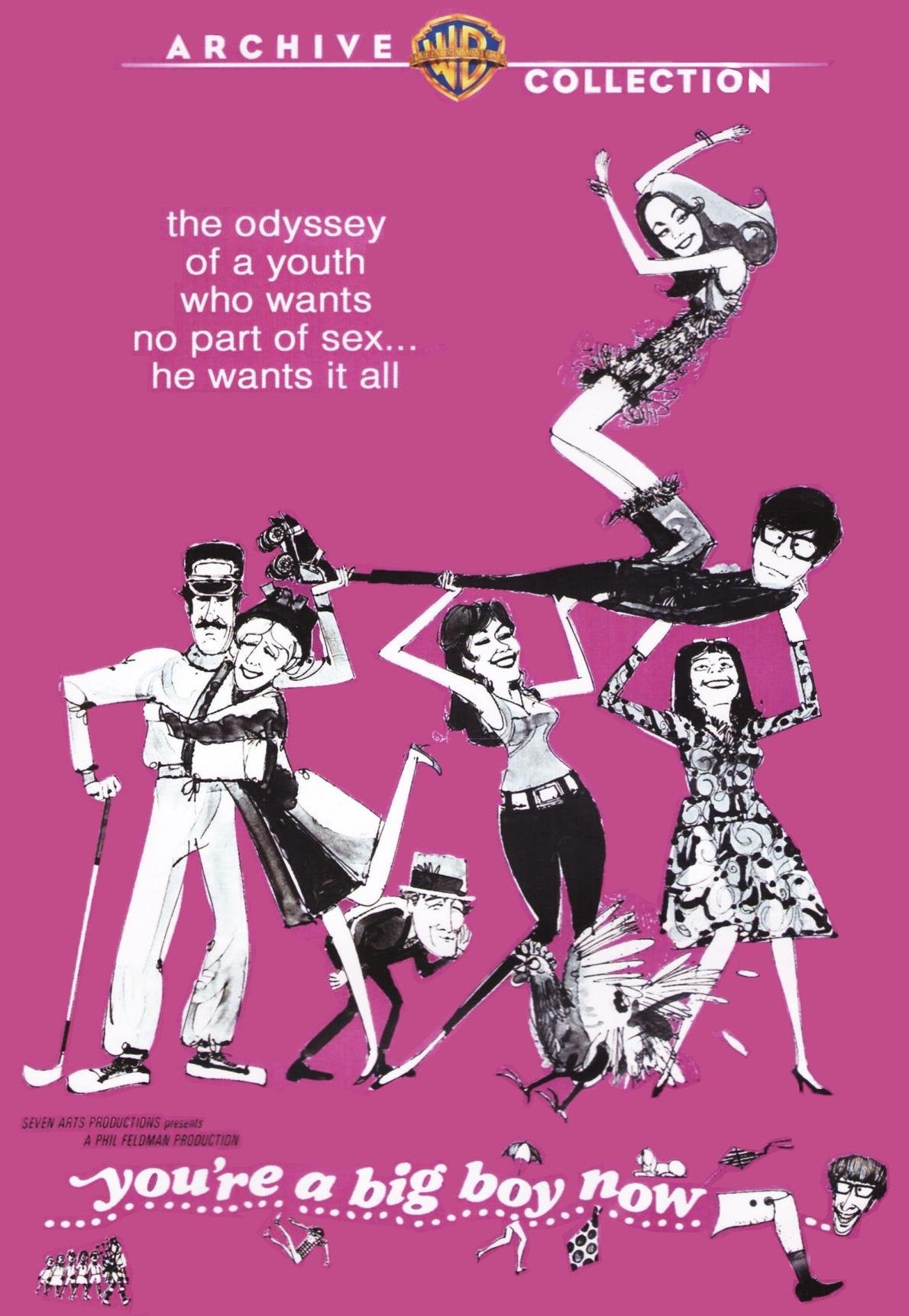 You're A Big Boy Now (DVD)
