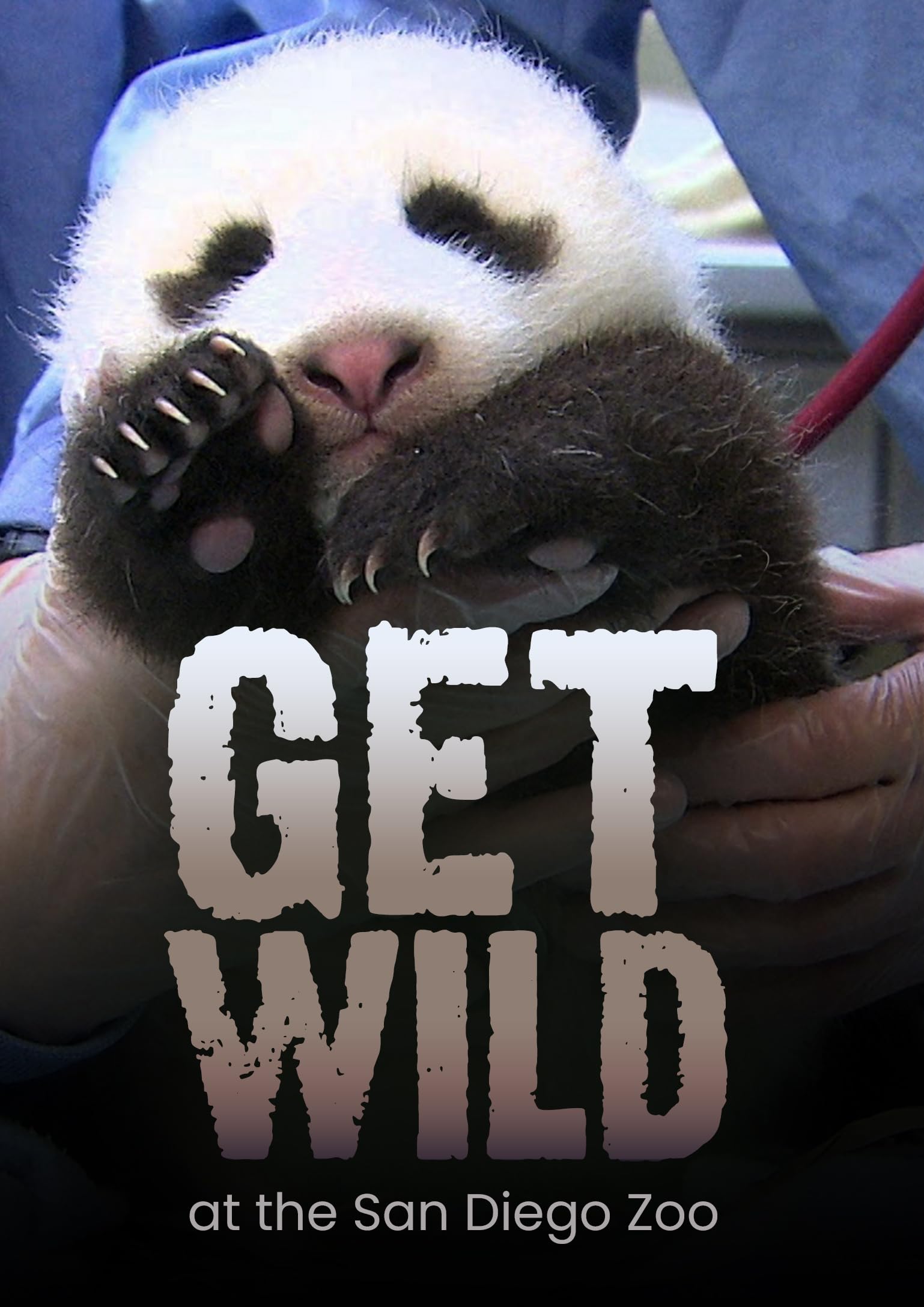 Get Wild (DVD)