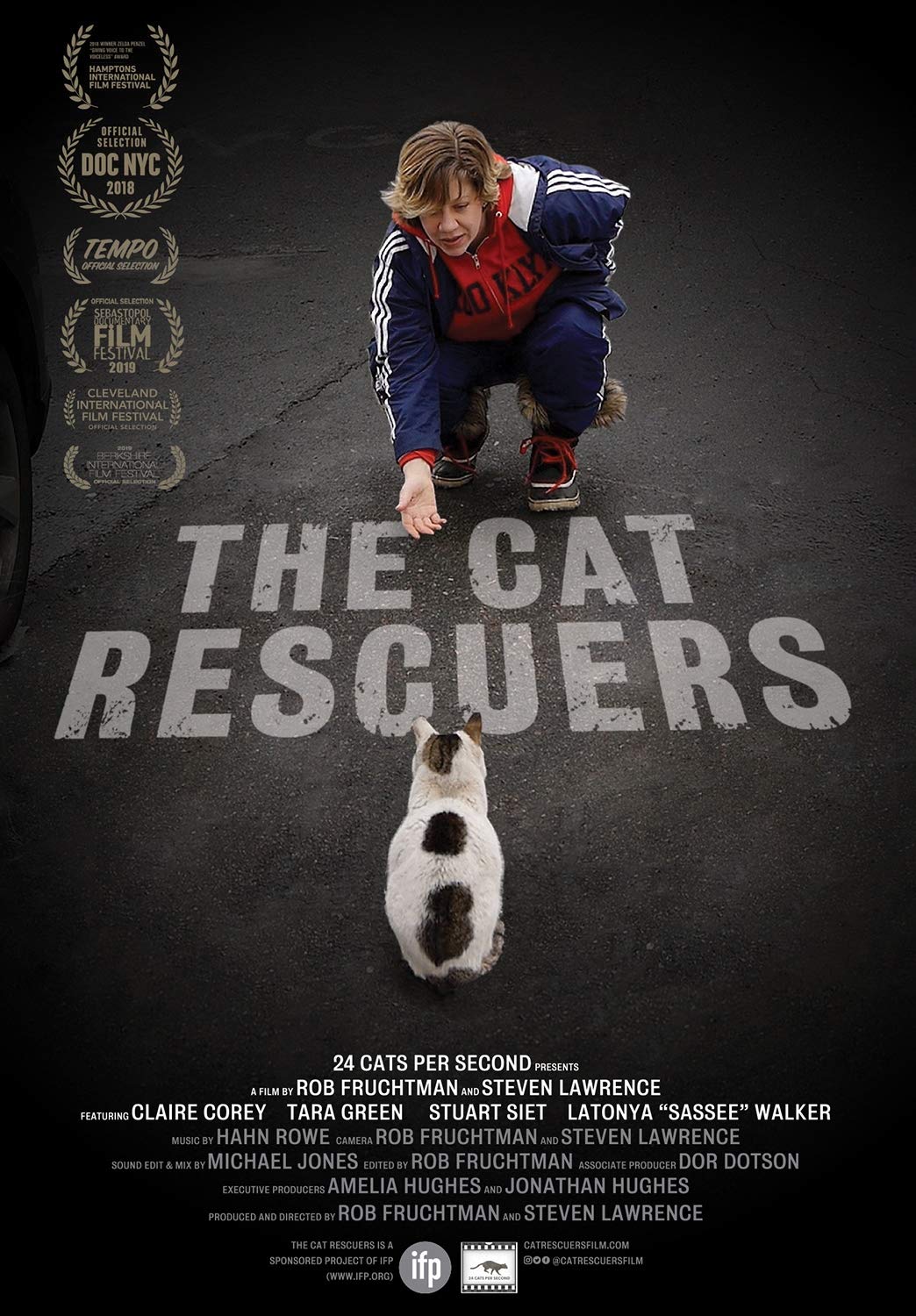 The Cat Rescuers (DVD)