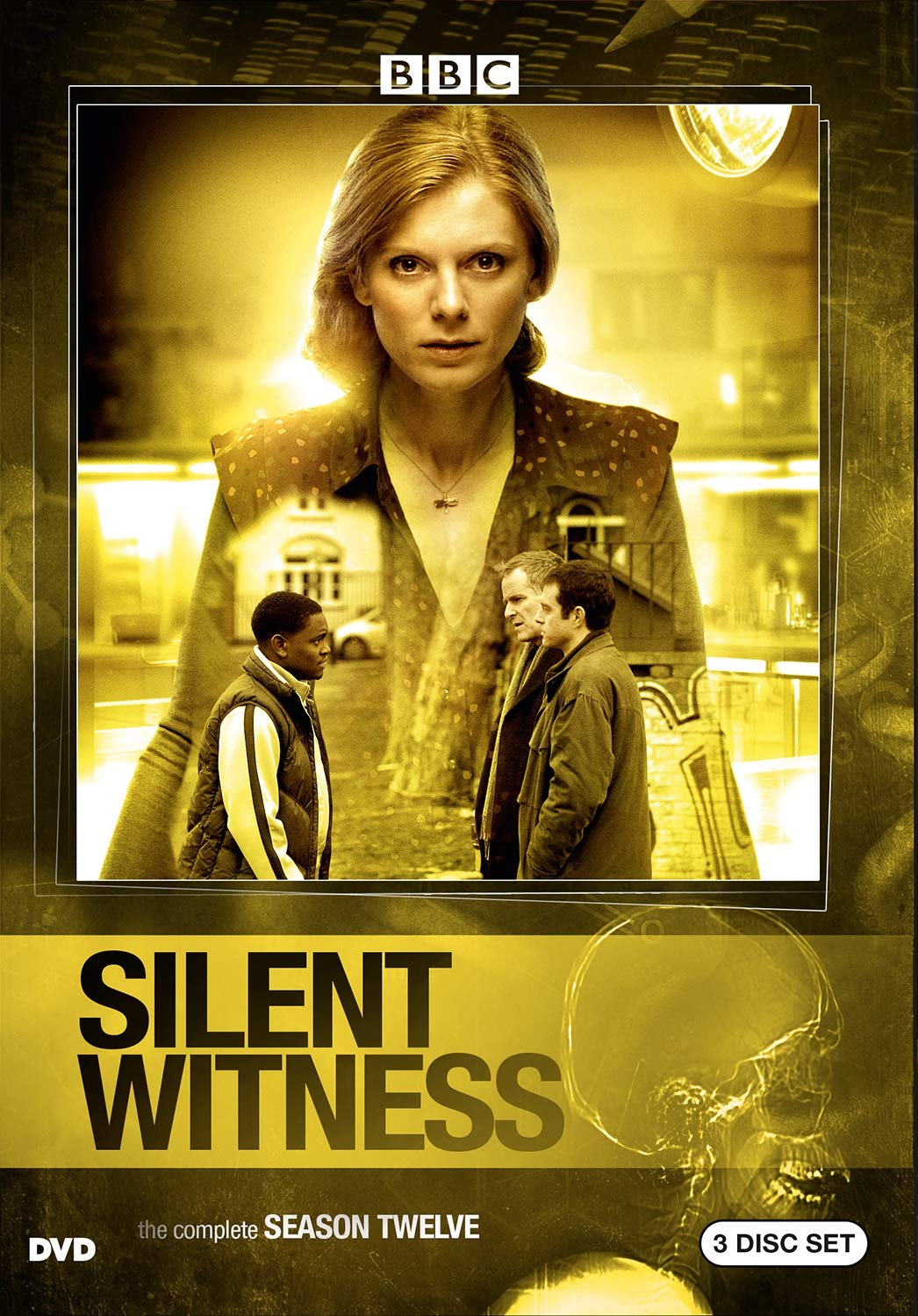 Silent Witness: Season 12 (DVD)