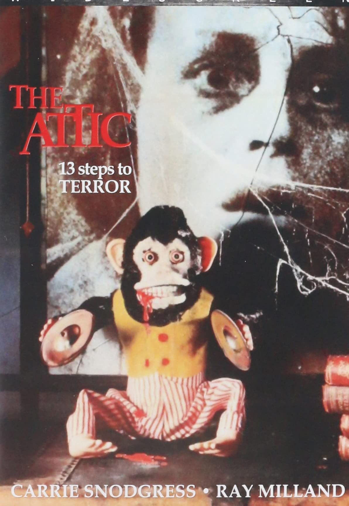 Attic (DVD)
