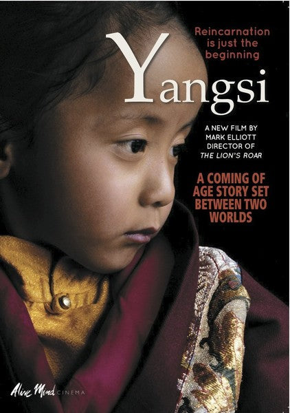 Yangsi: Reincarnation Is Just the Beginning (DVD)