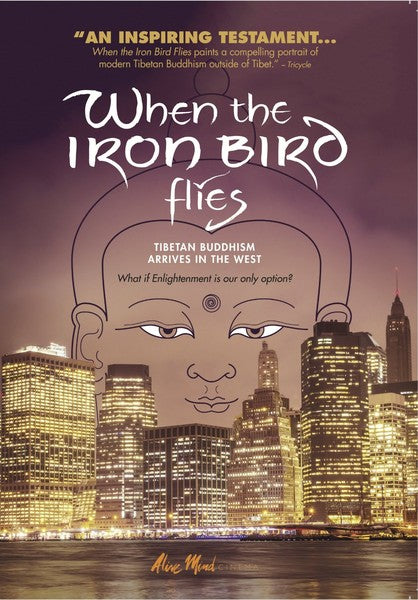 When the Iron Bird Flies (DVD)