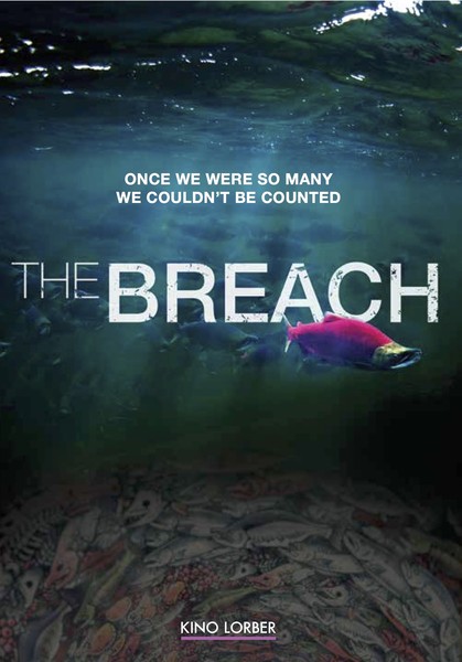 The Breach (DVD)
