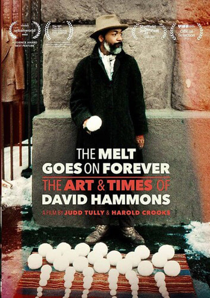 Melt Goes on Forever: The Art & Times of David Hammons (DVD)