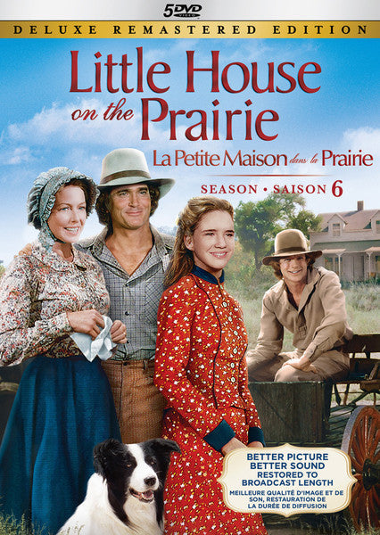Little House on the Prairie: Season 6 (DVD)