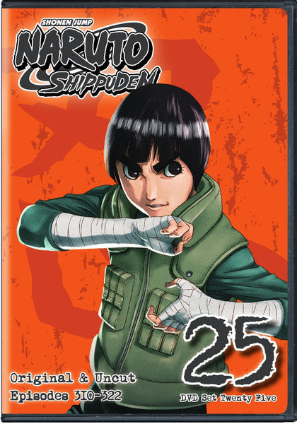 Naruto Shippuden: Set 25 (DVD)