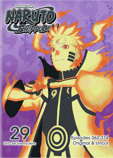 Naruto Shippuden: Set 29 (DVD)