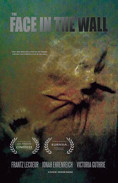 Face in the Wall (DVD)