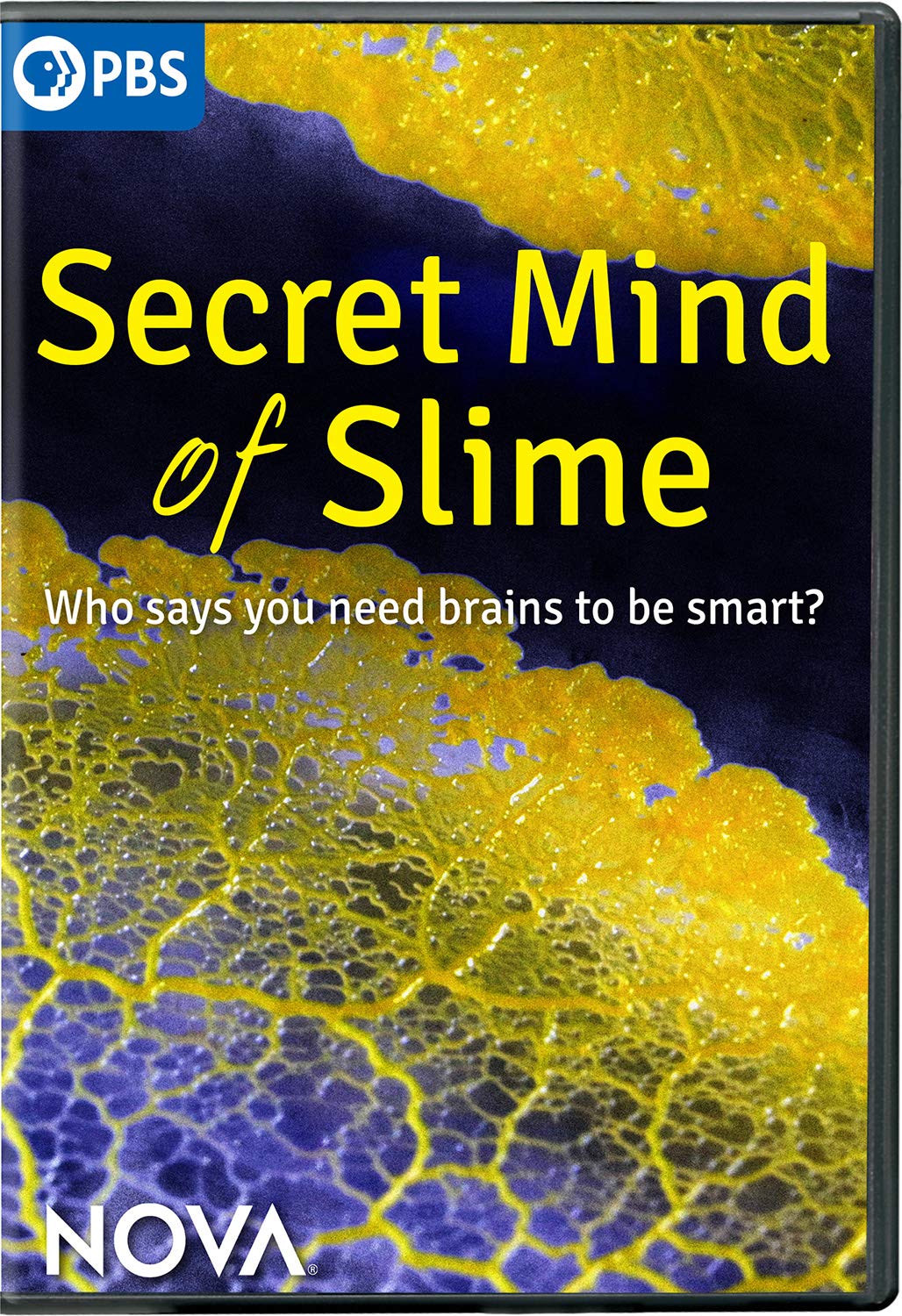 Nova: Secret Mind of Slime (DVD)