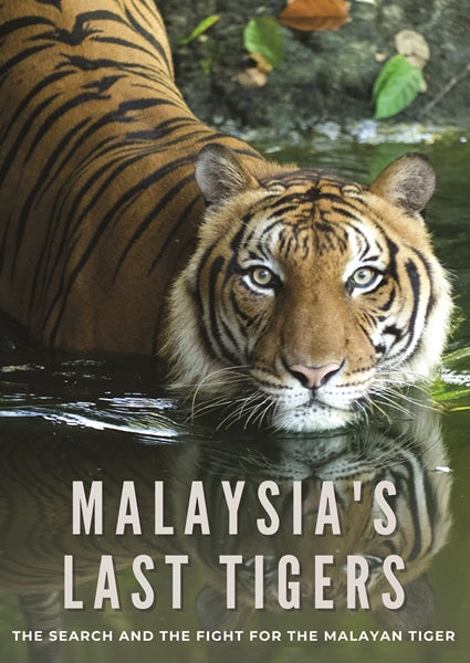 Malaysia's Last Tigers (DVD)