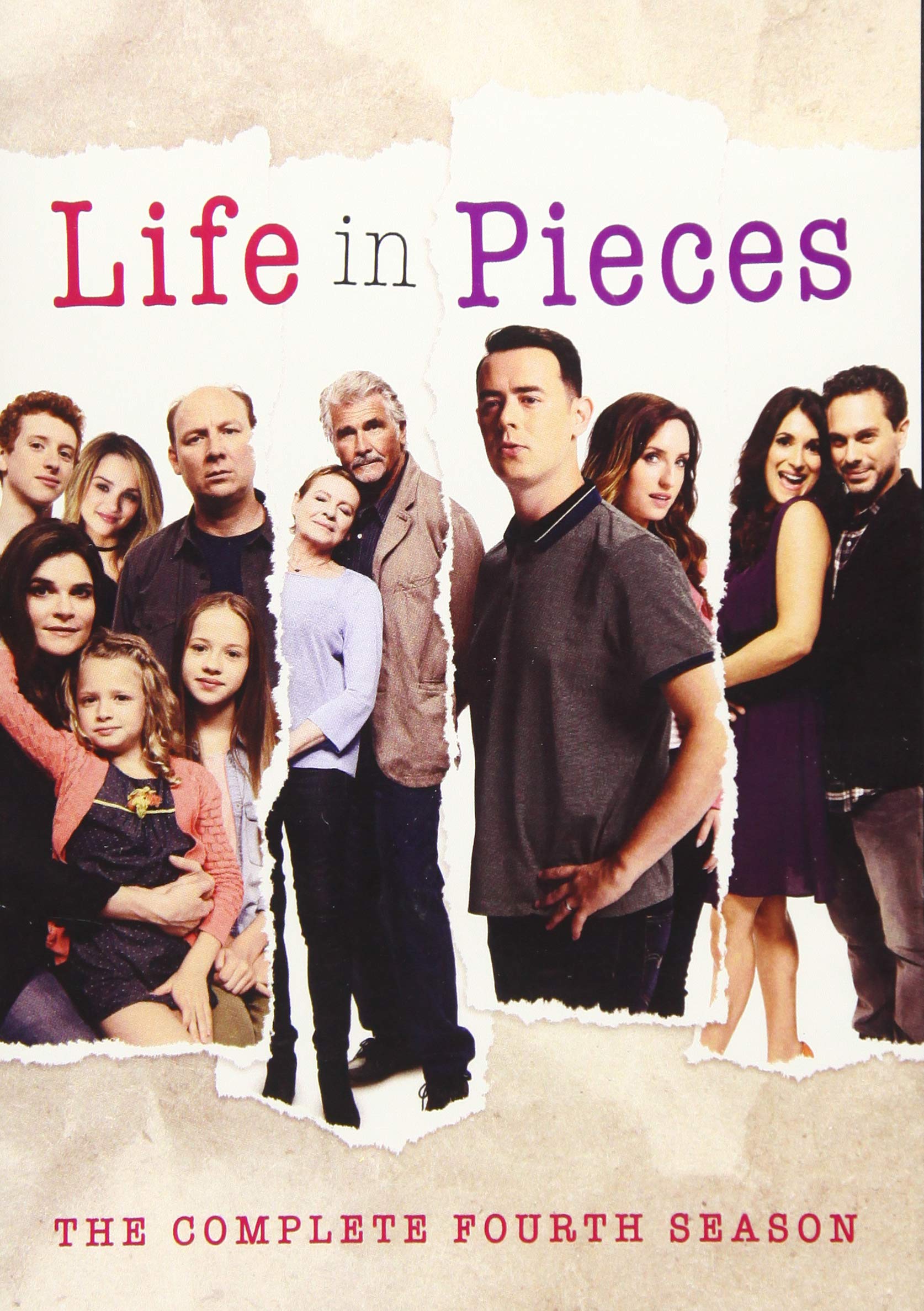 Life in Pieces: Season 4 (DVD)