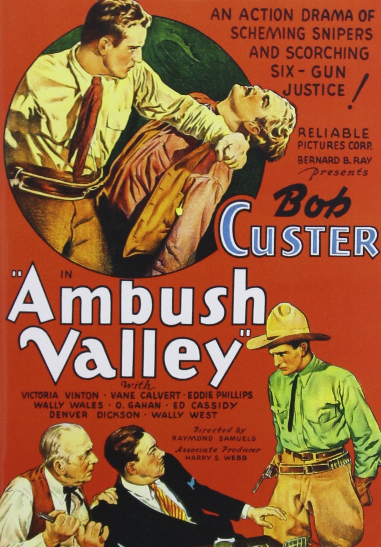 Ambush Valley (DVD)