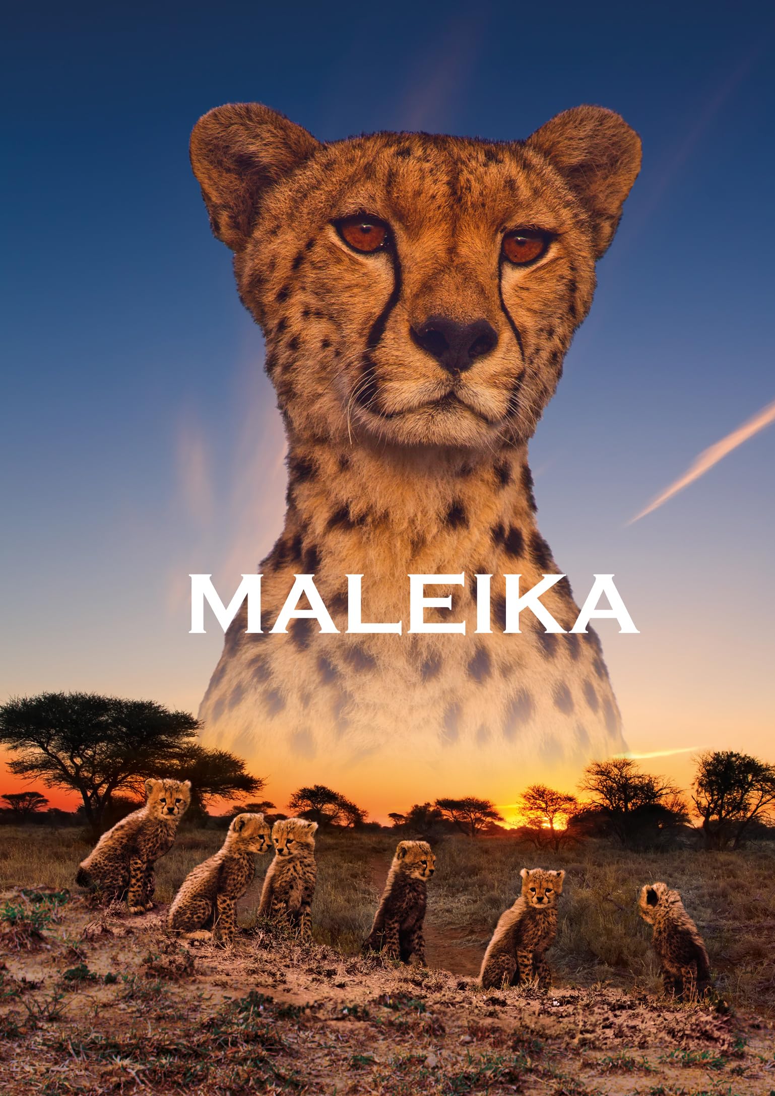 Maleika (DVD)