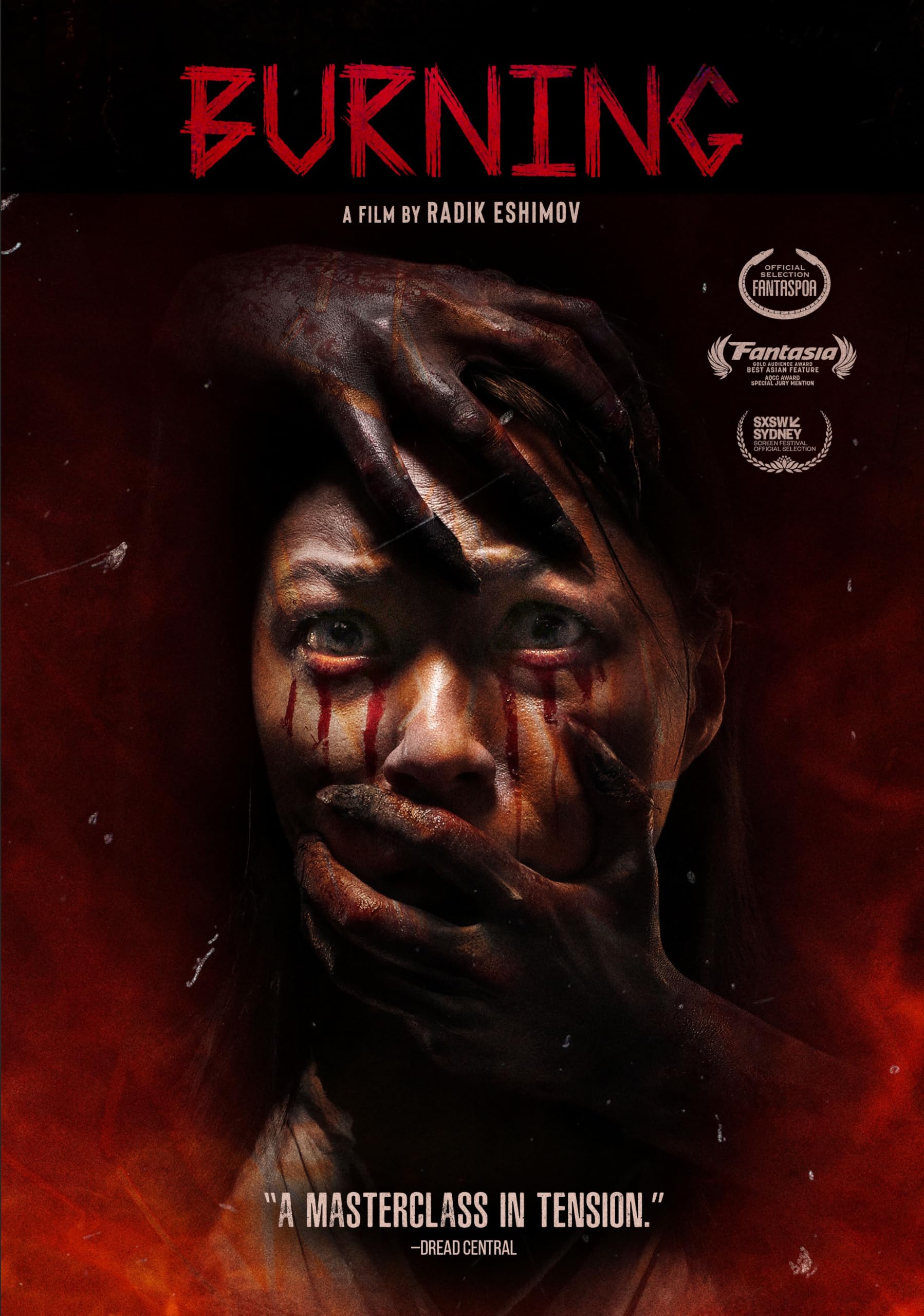 Burning (DVD)