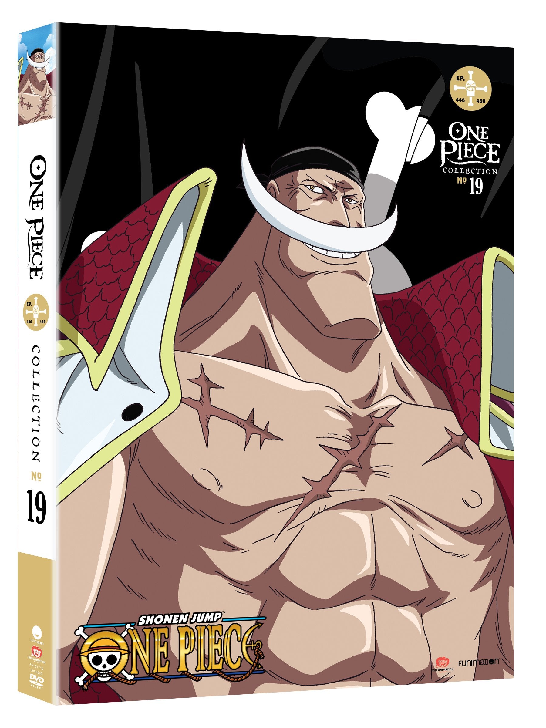 One Piece: Collection 19 (DVD)