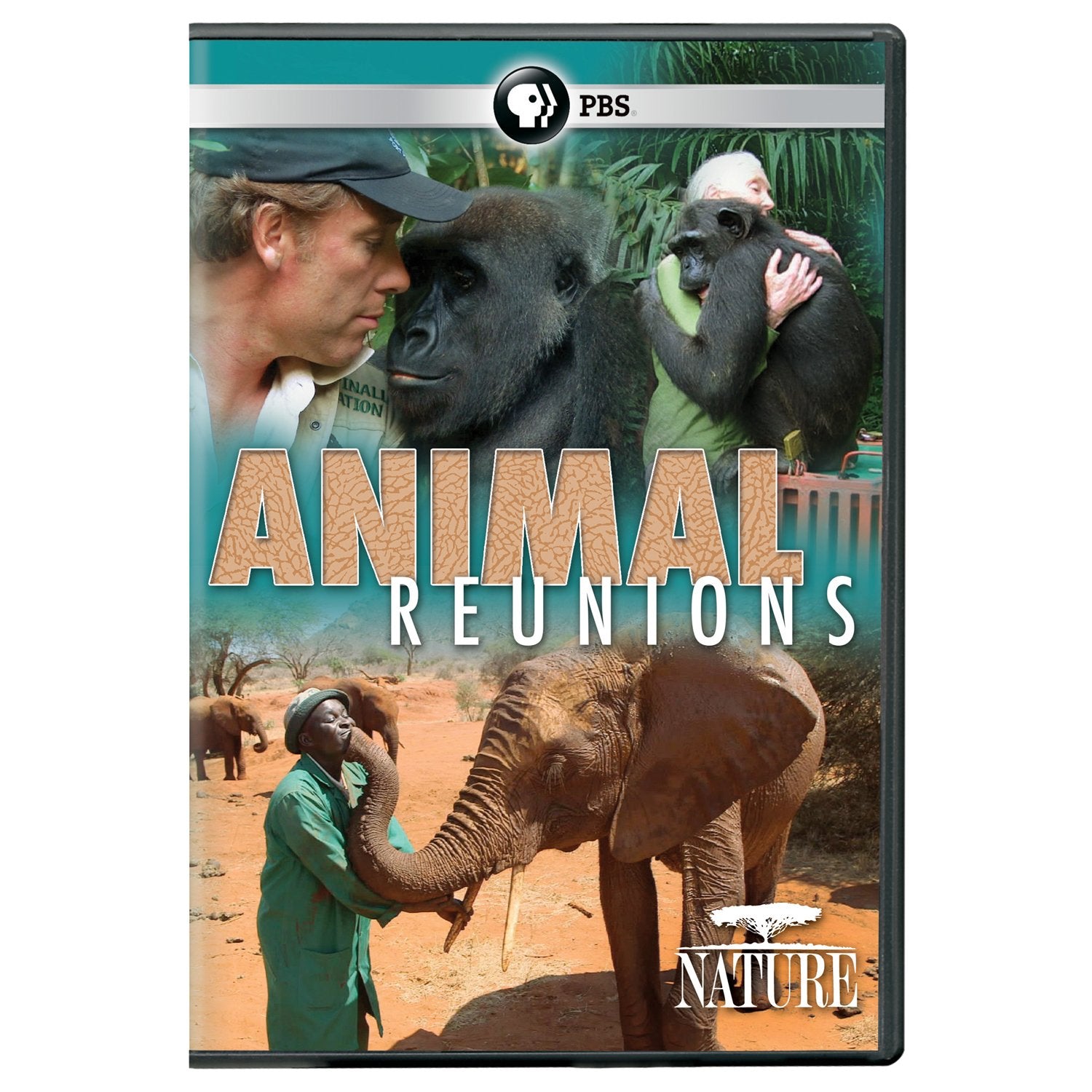 Nature: Animal Reunions (DVD)
