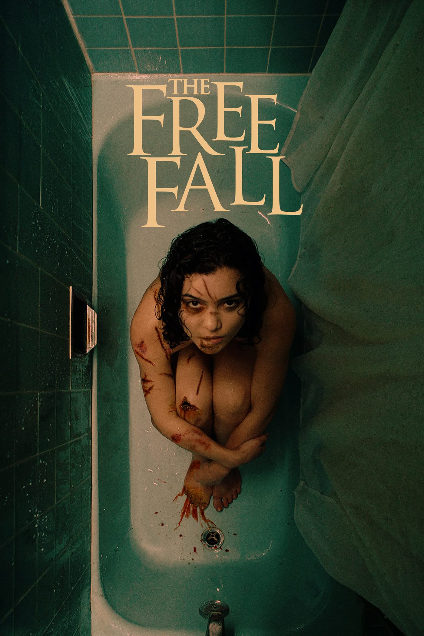 The Free Fall (DVD)