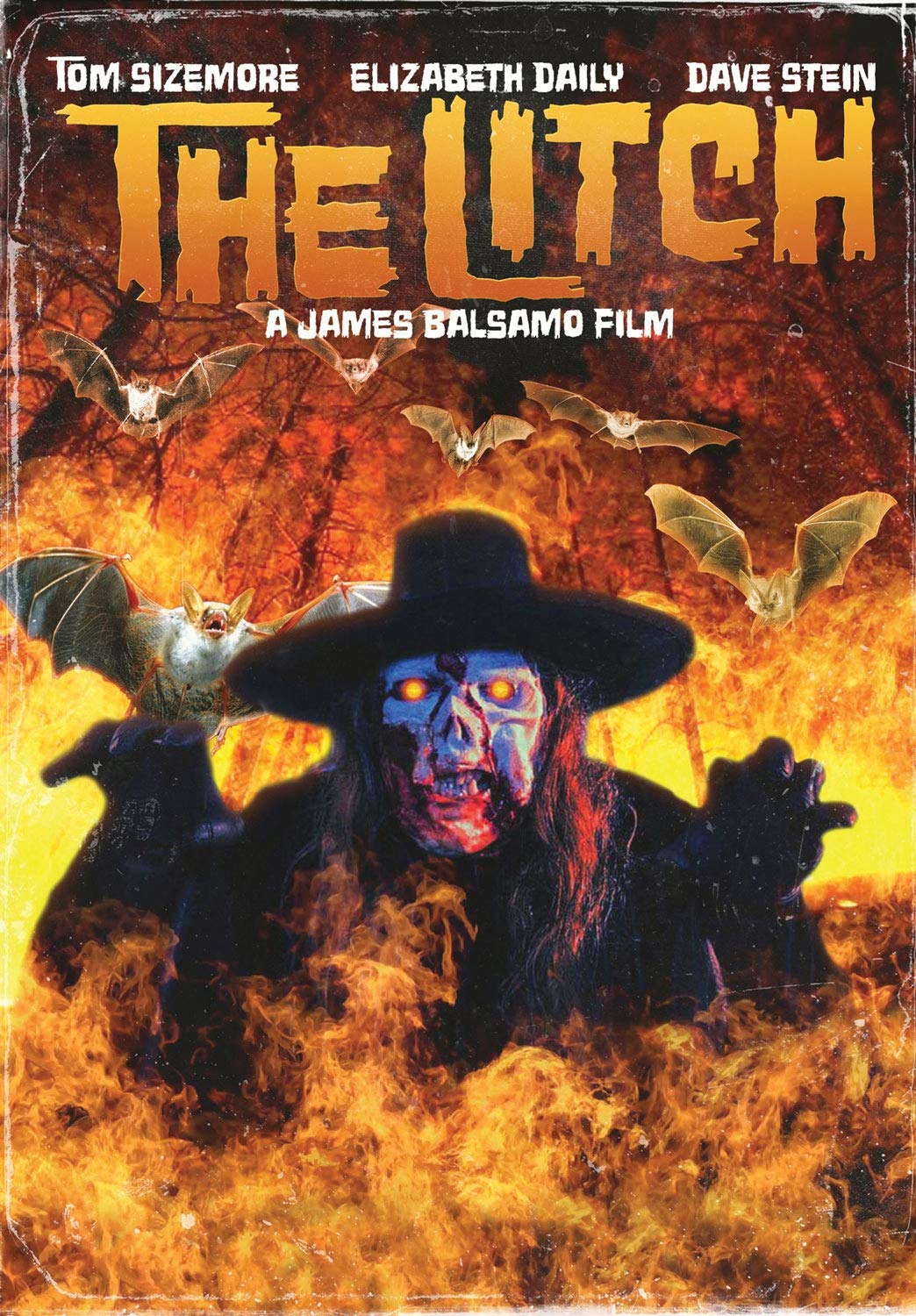 The Litch (DVD)
