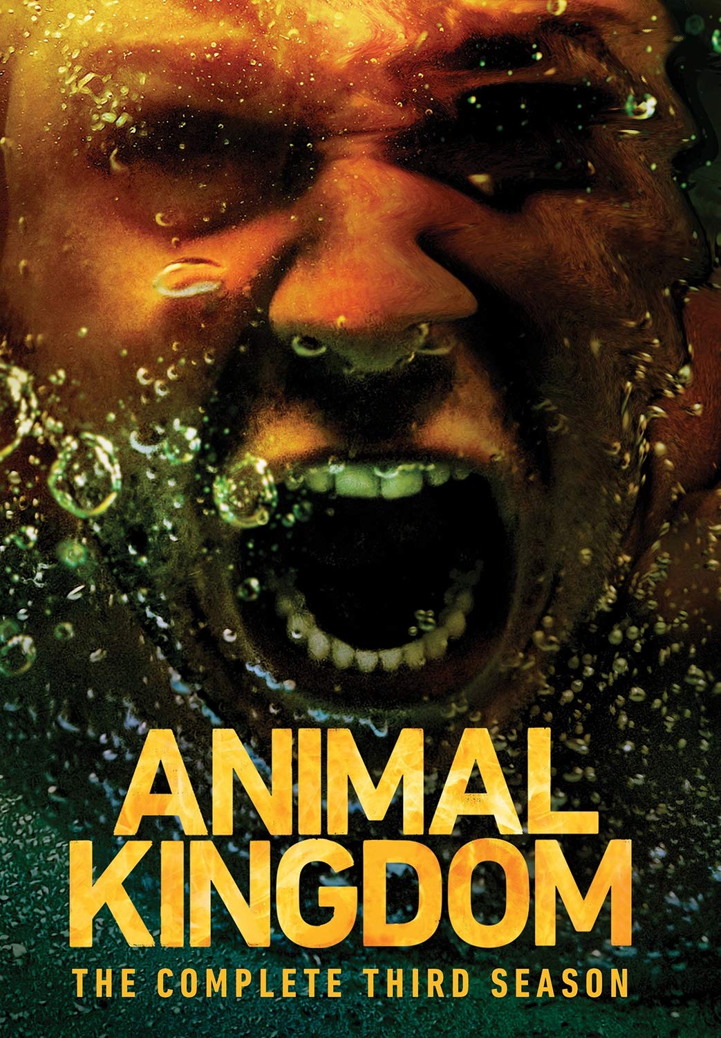 Animal Kingdom: Season 3 (DVD)