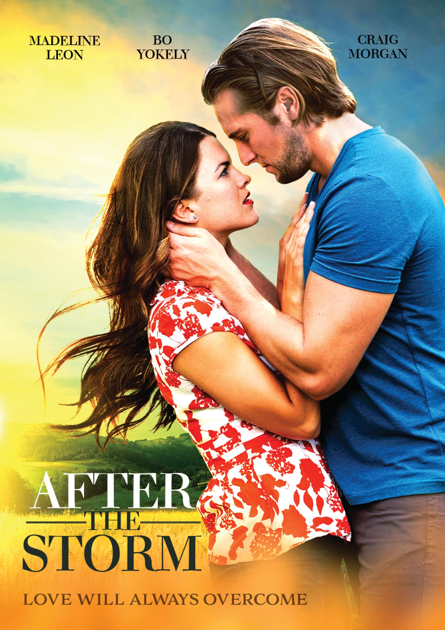 After the Storm (DVD)