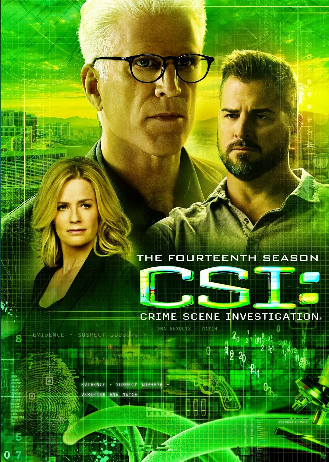 Csi: Season 14 (DVD)