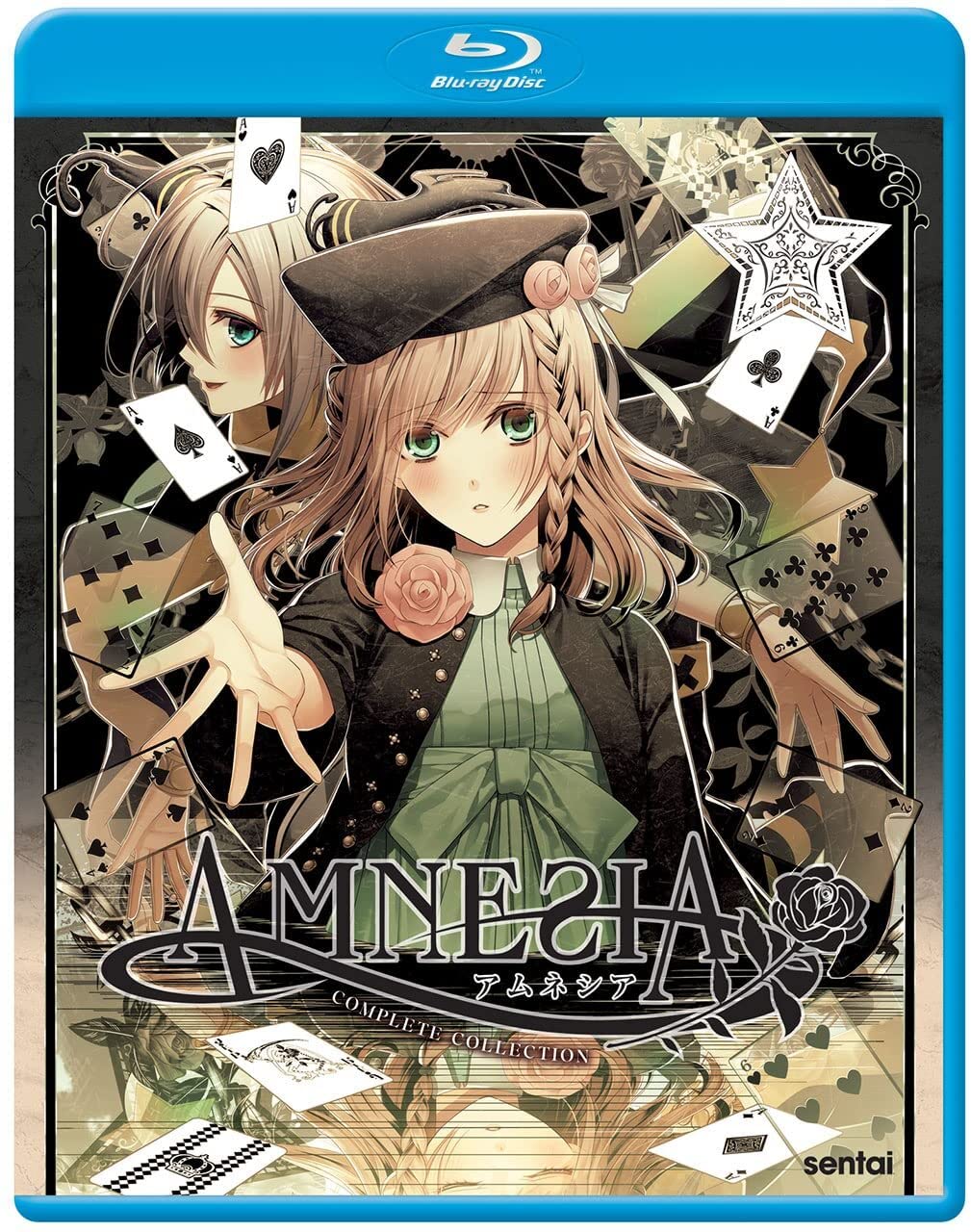 Amnesia (2013) (Blu-ray)
