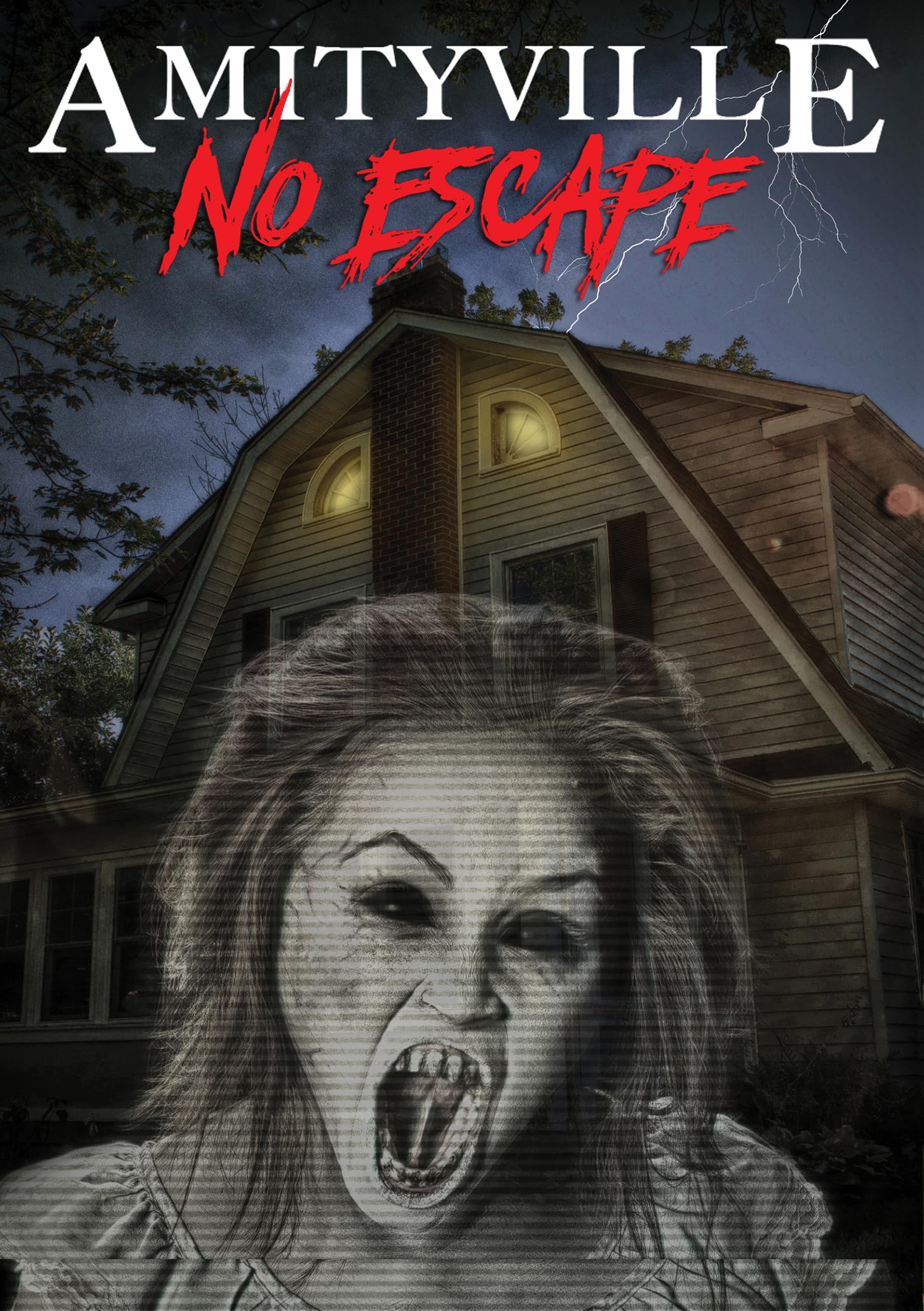 Amityville-No Escape (DVD)