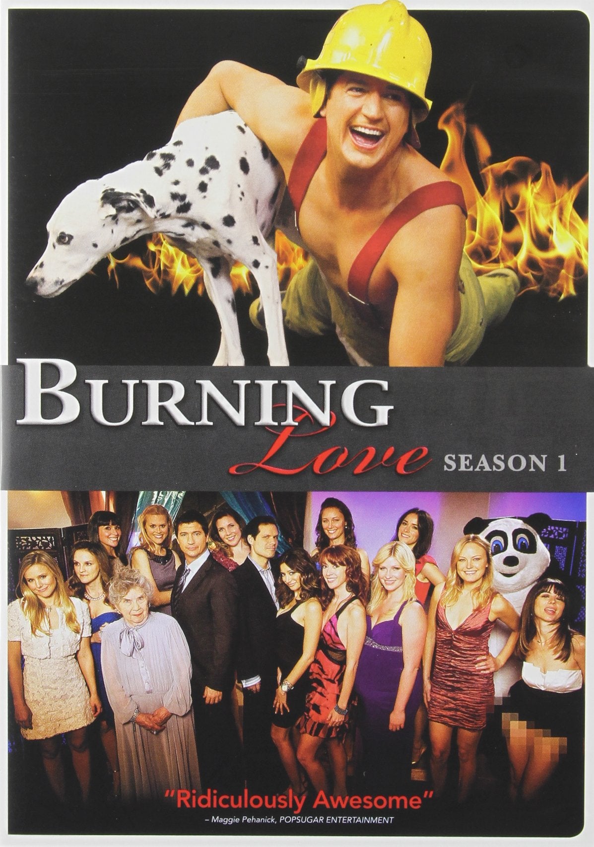 Burning Love: Season 1 (DVD)