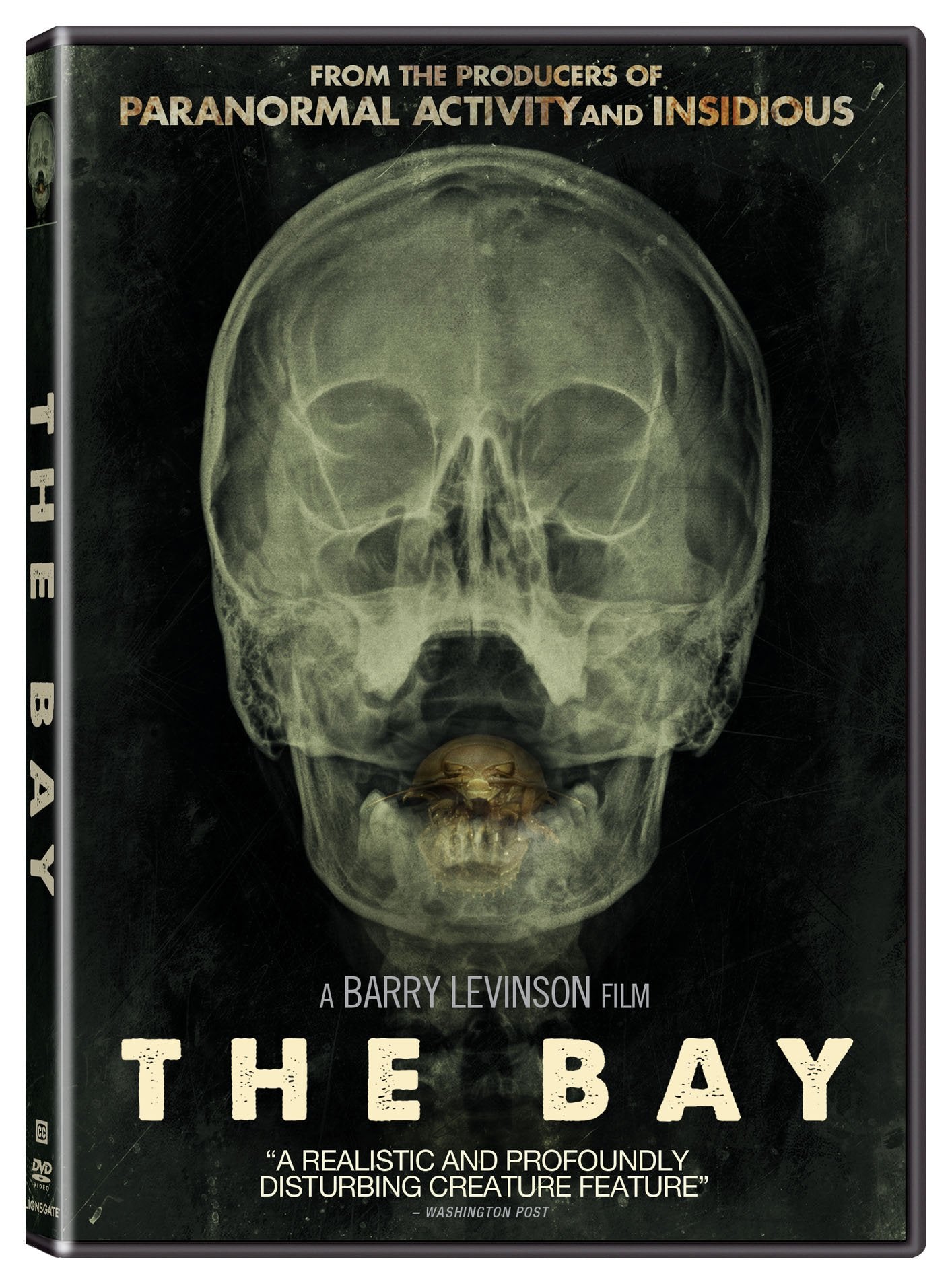 Bay (DVD)