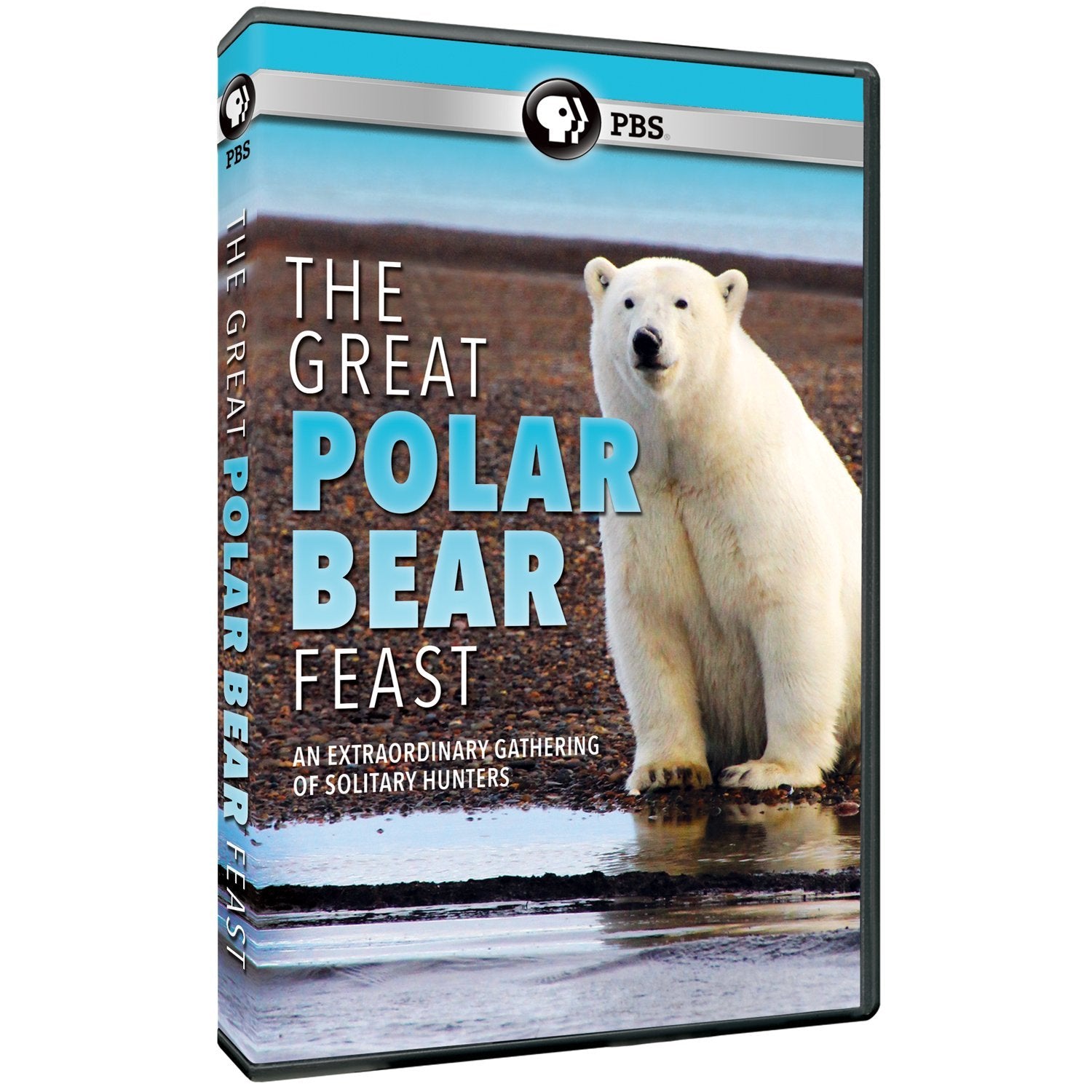 The Great Polar Bear Feast (DVD)