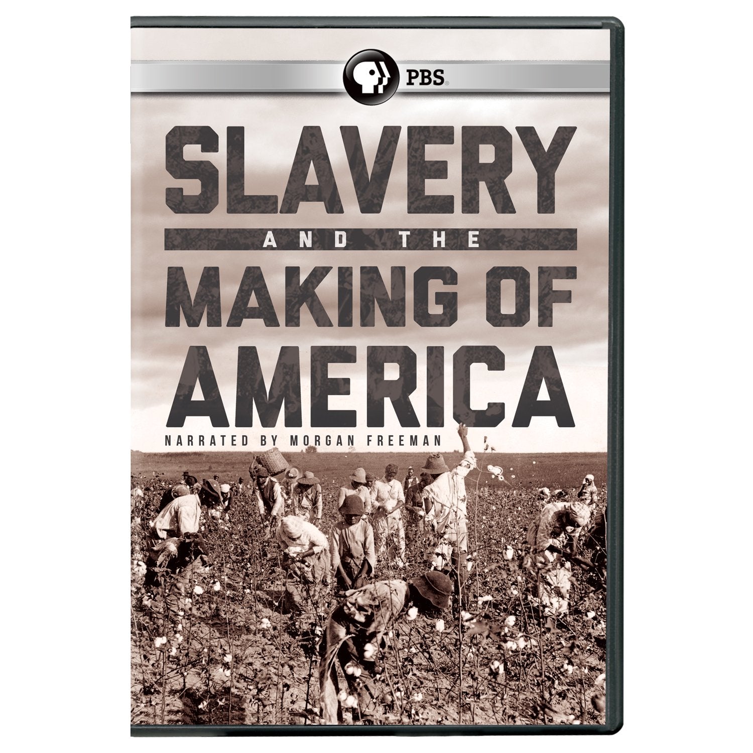 Slavery and the Making of America (DVD)