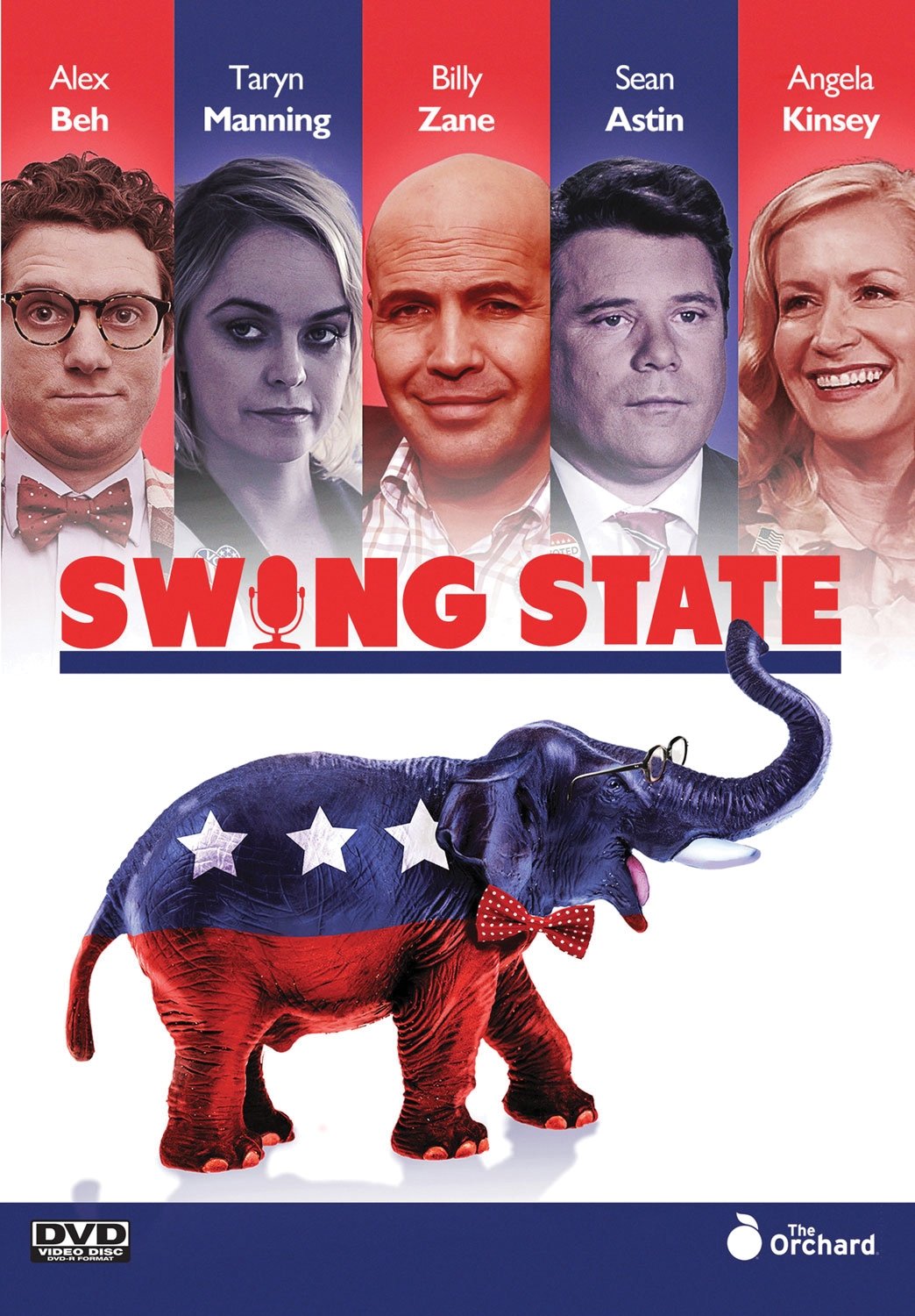 Swing State (DVD)