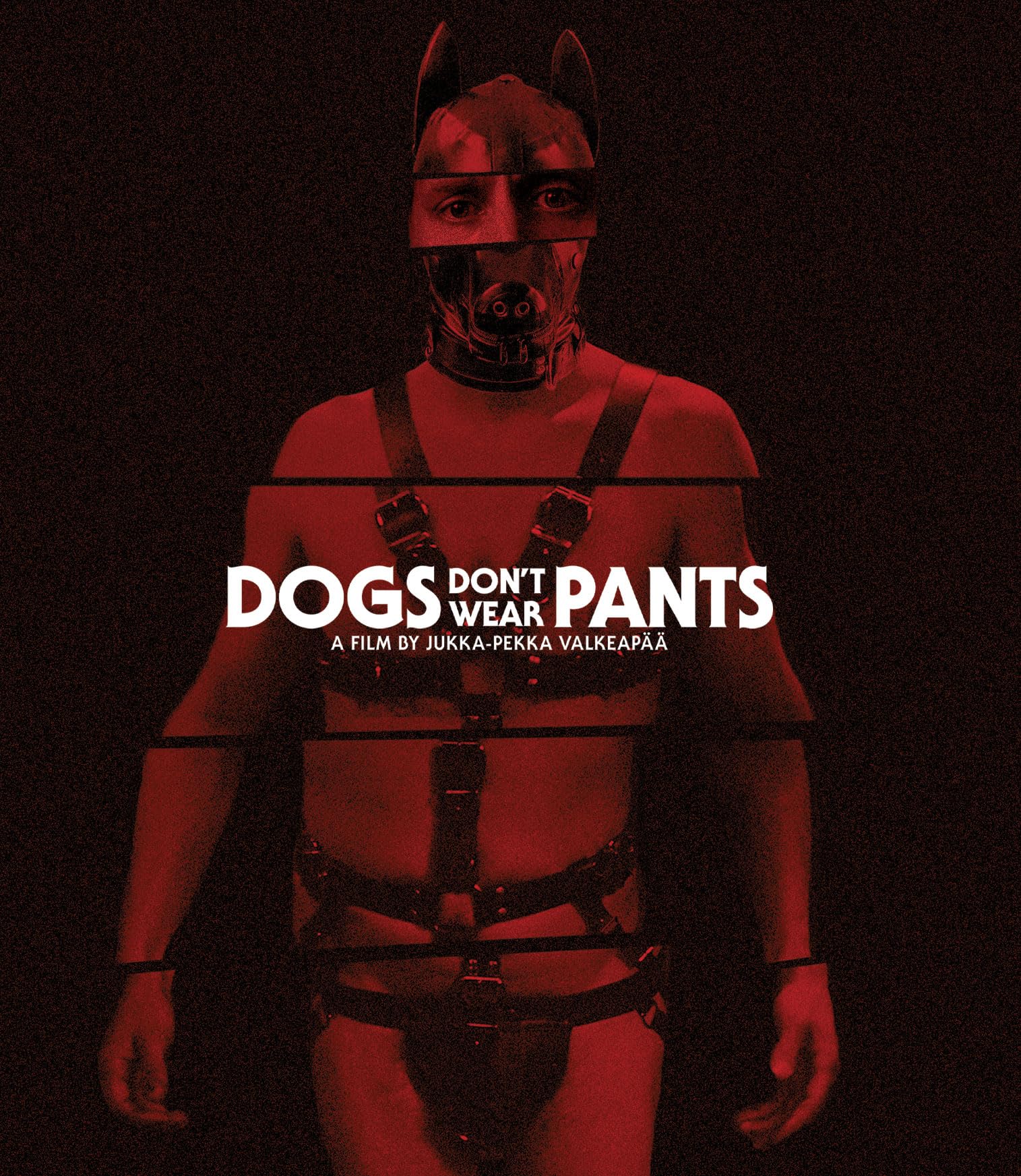 Dogs Don'T Wear Pants (Blu-ray)