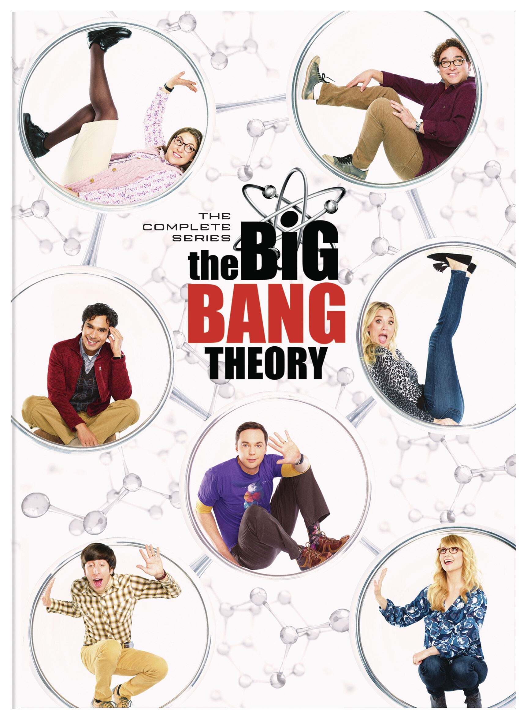 The Big Bang Theory: Complete Series (DVD)