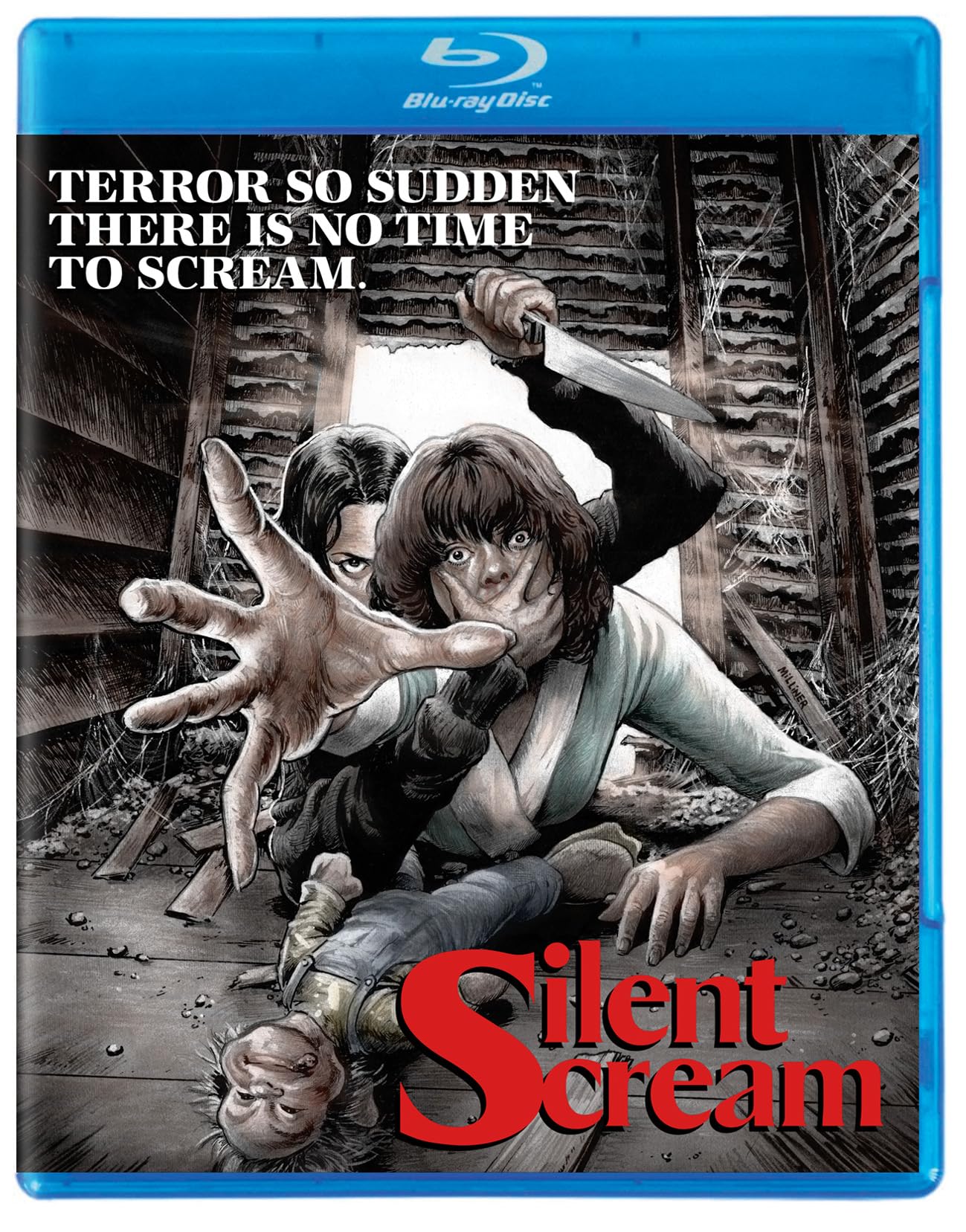 Silent Scream (Blu-ray)
