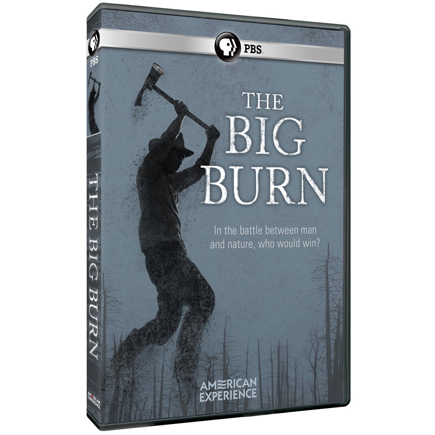 American Experience: The Big Burn (DVD)