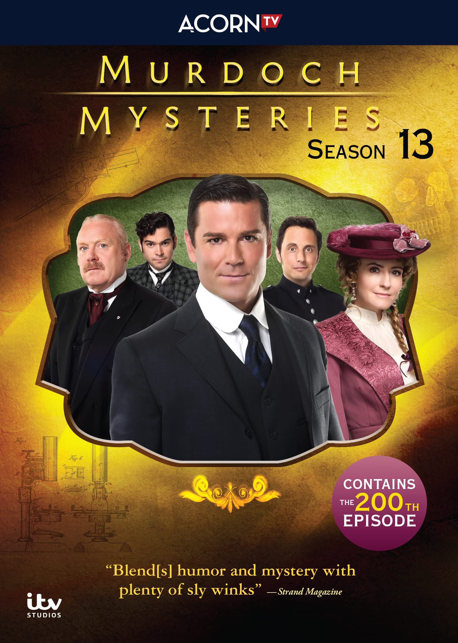 Murdoch Mysteries: Season 13 (DVD)
