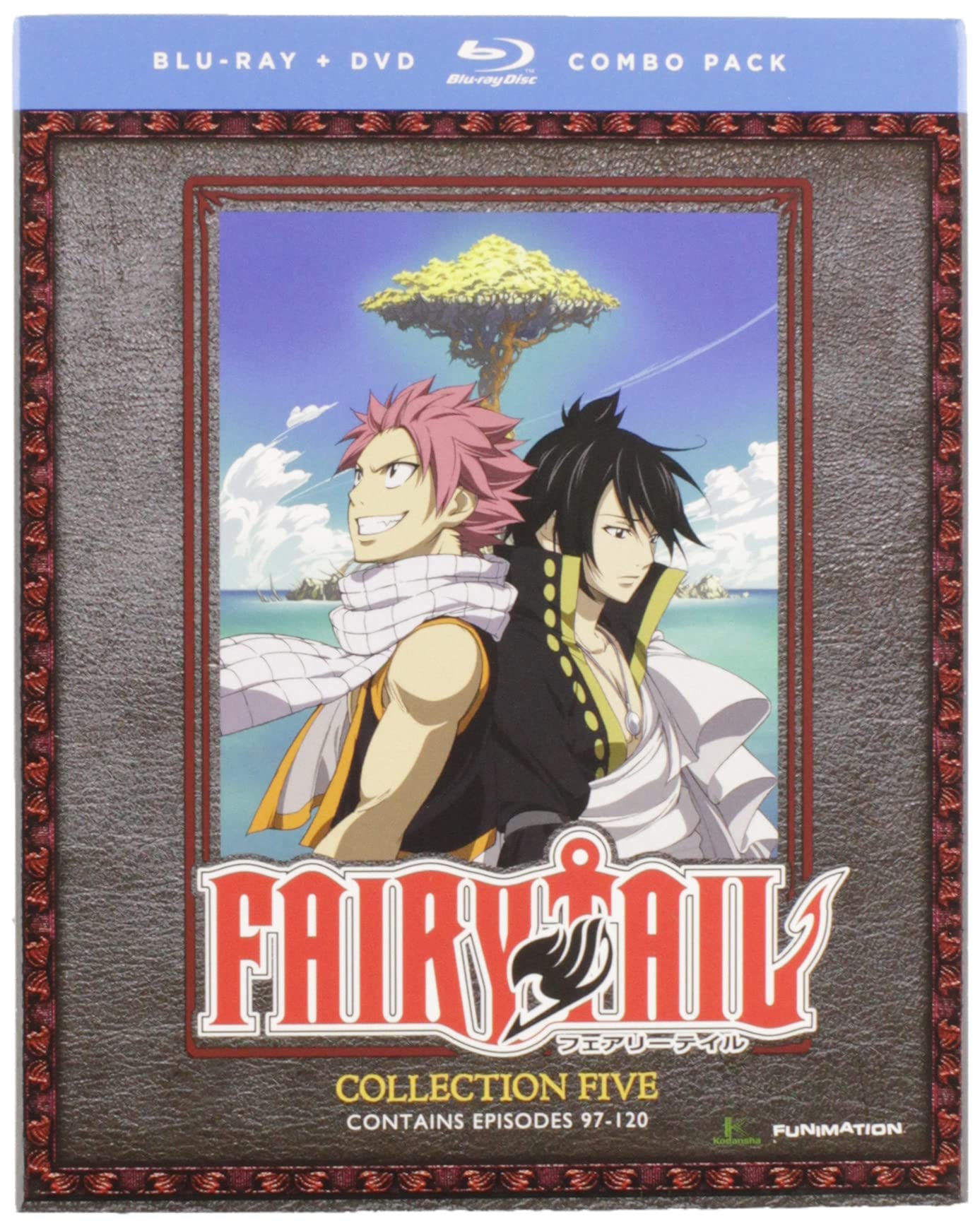 Fairy Tail: Collection 5 (Blu-ray)