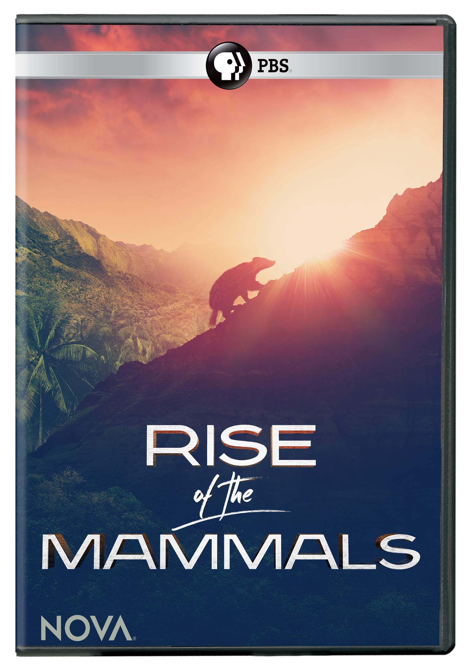 Nova: Rise of the Mammals (DVD)