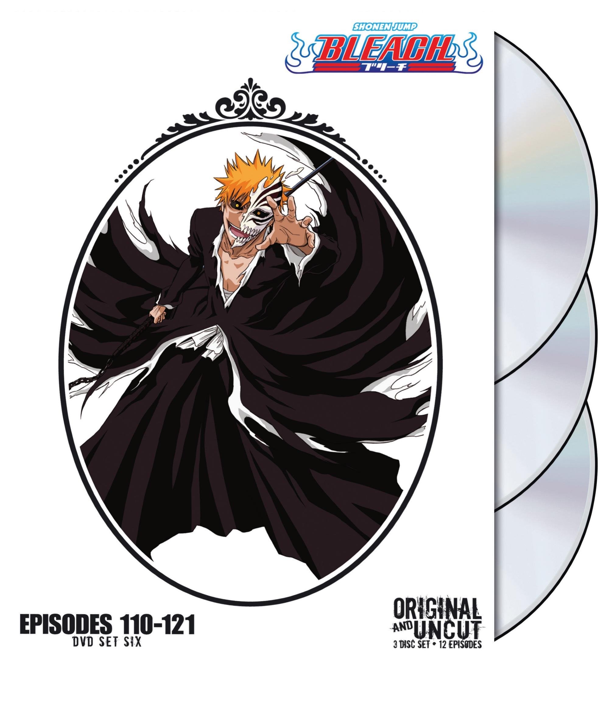 Bleach Box Set 6 (DVD)