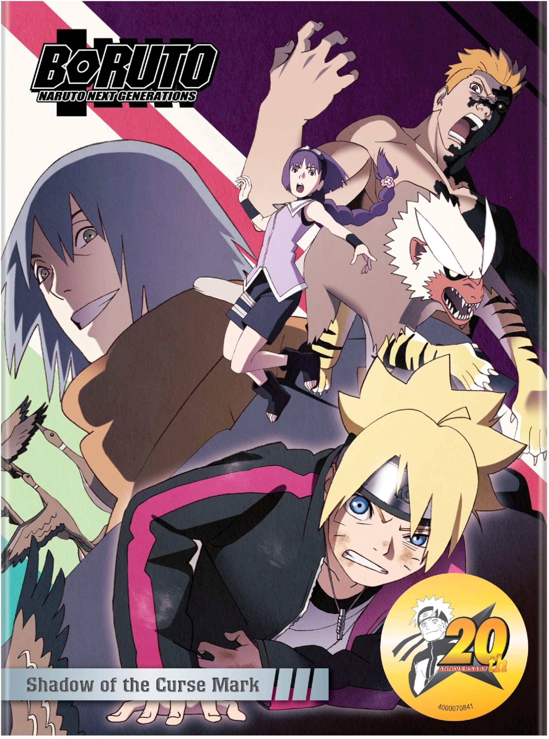 Boruto-Naruto Next Generations-Shadow of the Curse Mark (DVD)