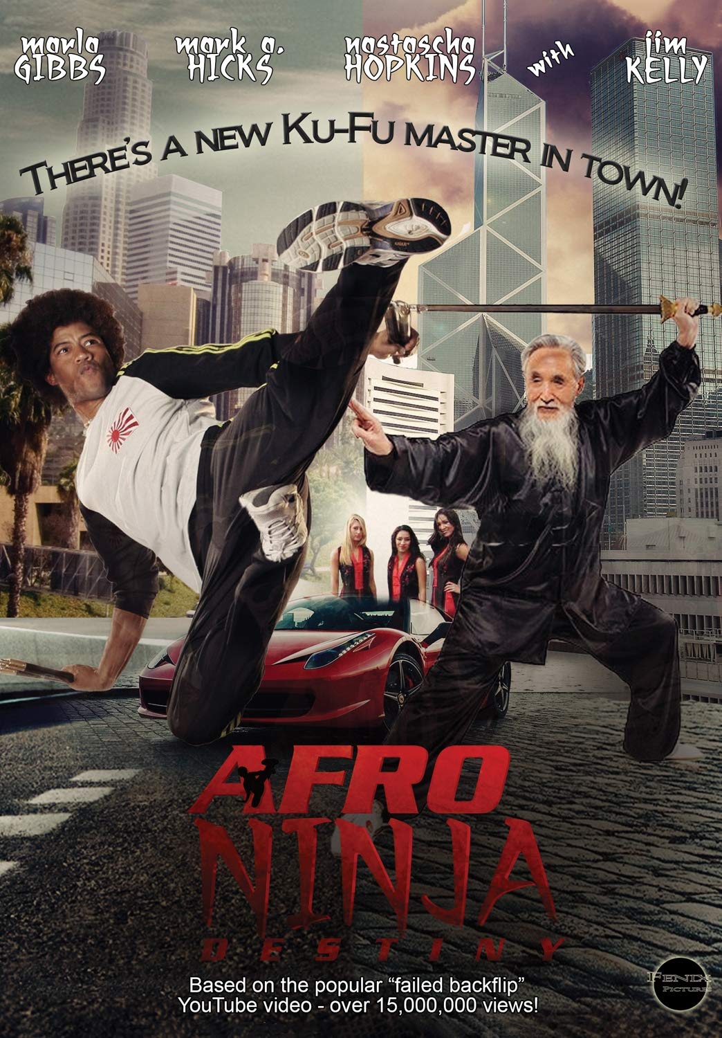 Afro Ninja (DVD)