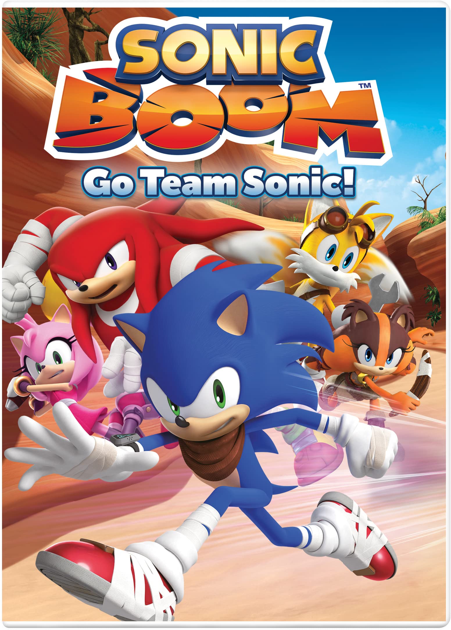 Sonic Boom: Go Team Sonic (DVD)