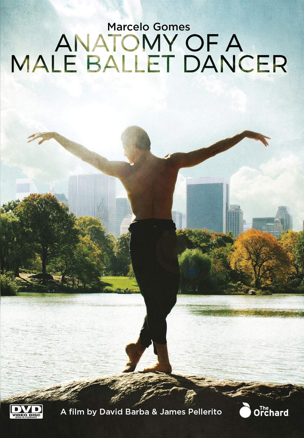 Anatomy of A Male Ballet Dancer (DVD)