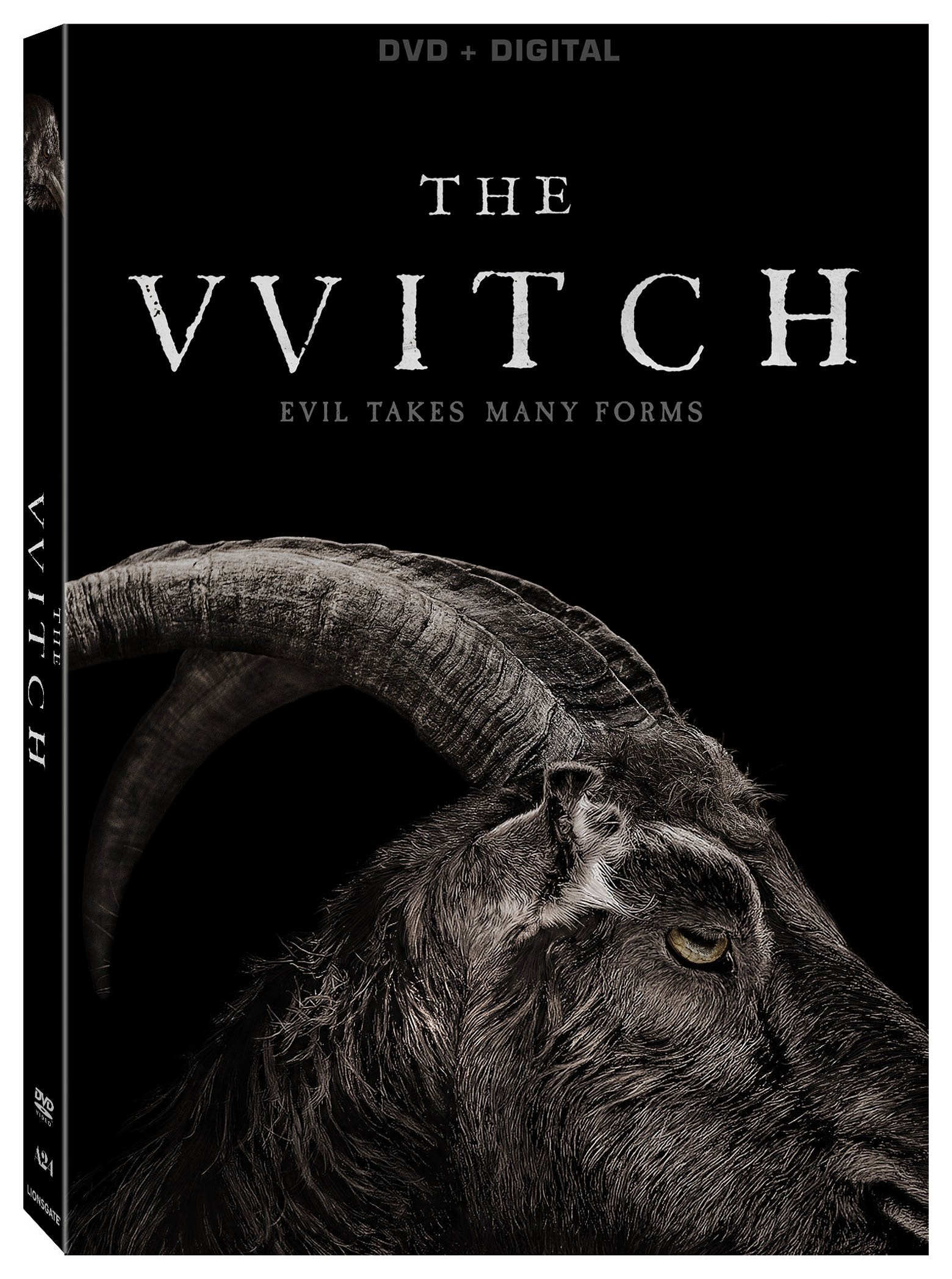 Witch (DVD)