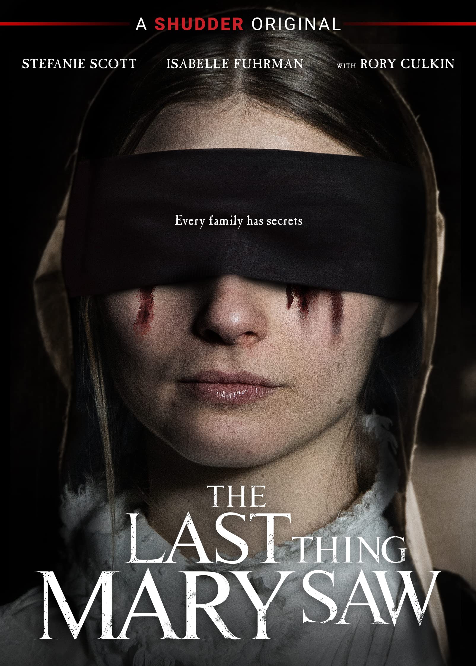 Last Thing Mary Saw (DVD)