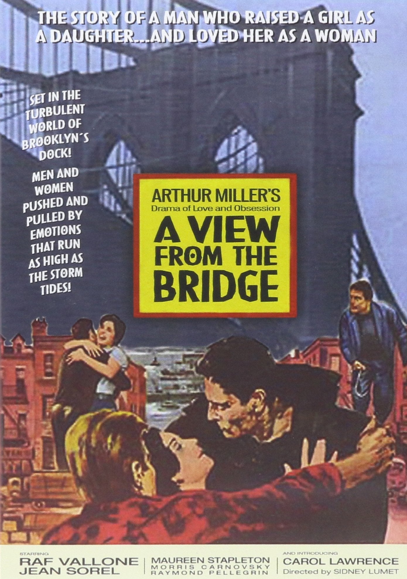 View from the Bridge (DVD)