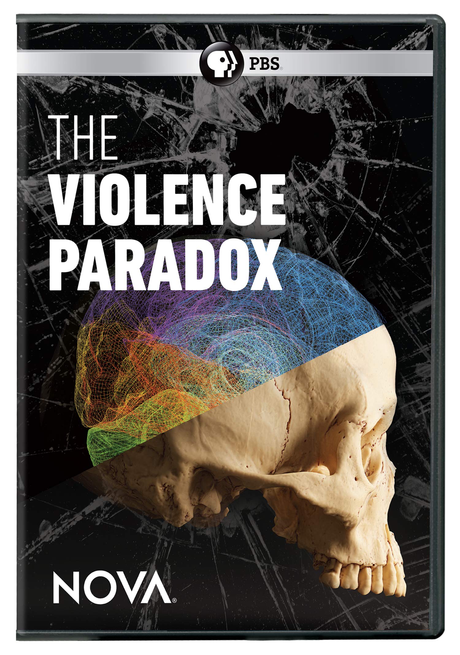 Nova: The Violence Paradox (DVD)