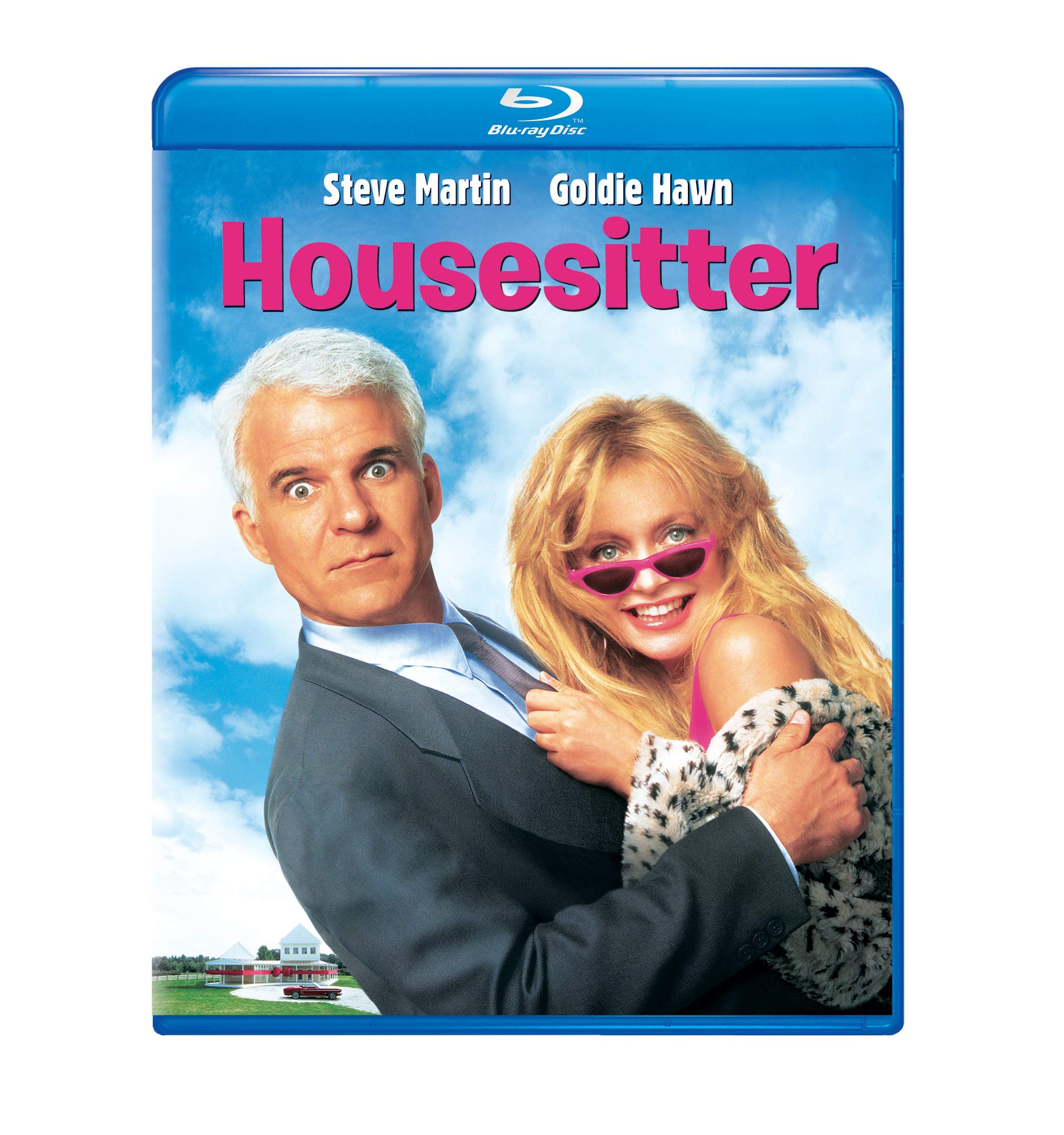 Housesitter (Blu-ray)
